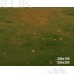 Jesienne tło fotograficzne – brzozowy las z muchomorami i girlandą | J_233